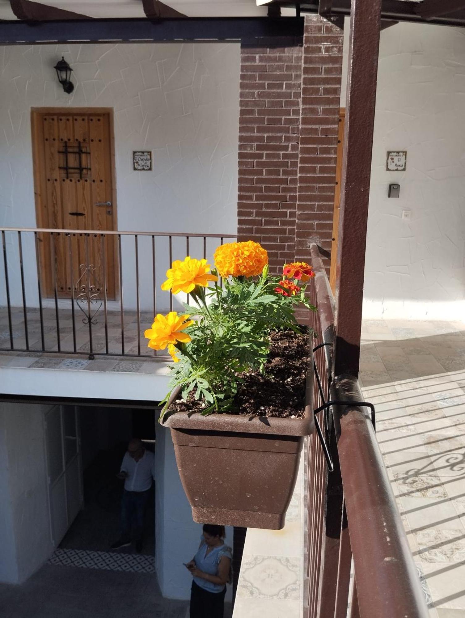Suite San Mateos 15 Jerez de la Frontera Exterior photo