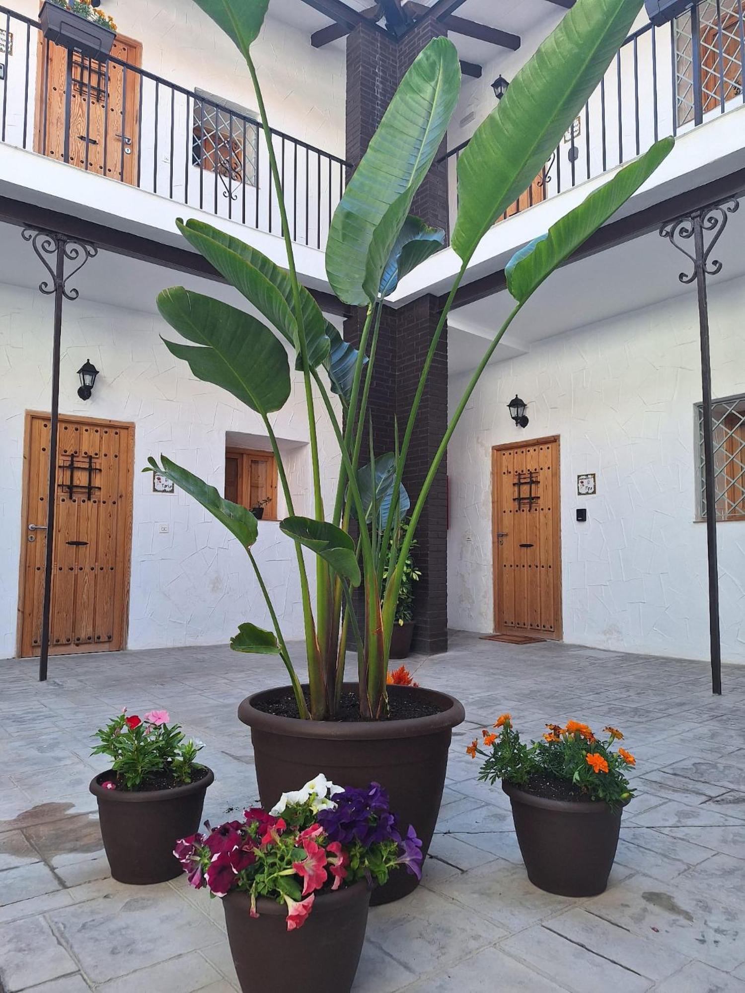 Suite San Mateos 15 Jerez de la Frontera Exterior photo